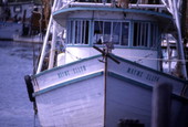 Shrimp boat "Mayme Ellyn" at Carrabelle, Florida.