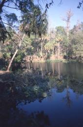 Scenic view in Clewiston, Florida.