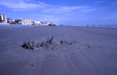 Sandcastles at Daytona Beach.