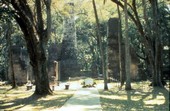 Bulow Plantation Ruins Historic State Park near Bunnell, Florida.