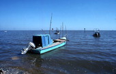 View of oyster boats at the fishing village of Eastpoint near Apalachicola, Florida.