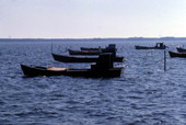 Oyster boats at the fishing village of Eastpoint near Apalachicola, Florida.