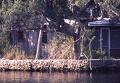 Waterfront house in Everglades City, Florida.