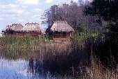 Dormitory chickees at the Billie Swamp Safari attraction located on the Big Cypress Seminole Indian Reservation in Clewiston, Florida.