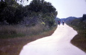 Trail at Shark Valley in the Everglades National Park.