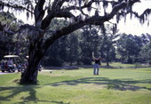 Golfer teeing off at Amelia Island, Florida.