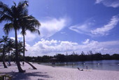 Beach at Snyder Park in Ft. Lauderdale, Florida.