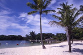 View showing beach at Snyder Park in Ft. Lauderdale, Florida.