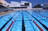Close-up view of pool at the International Swimming Hall of Fame in Ft. Lauderdale, Florida.