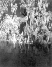 Young woman fishing at Lake Eloise