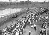 Crowd gathered to watch Swamp Buggy Day races - Naples, Florida