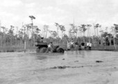 Naples' swamp buggy races - Naples, Florida