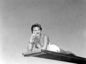 Donna Gardner poses from a diving board - Bunnell, Florida