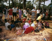 Children searching through sawdust for pennies at the Florida Forest Festival in Perry.