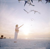 Woman feeding seagulls at Lido Beach near Sarasota, Florida