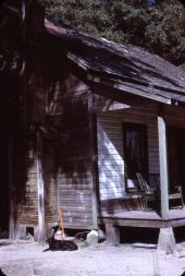 Stick and dirt chimney - Wakulla County, Florida