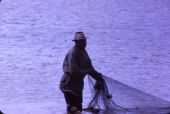 Mullet fisherman - Shell Point, Florida