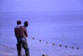 Mullet fishermen - Shell Point, Florida