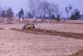 Gulls and tractor