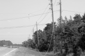 Power lines downed by Hurricane Ivan - Navarre, Florida.