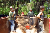 Florida Bureau of Archaeological Research staff assisting with artifact monitoring during cistern excavation at The Grove in Tallahassee, Florida.