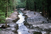 Drainage of runoff - Alachua County, Florida.