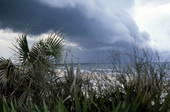 View of clouds forming over New Smyrna Beach - Volusia County, Florida