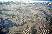 Aerial view showing a section of New Smyrna Beach near Atlantic Ocean coastline - Volusia County, Florida