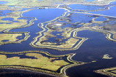 Aerial view of a section of New Smyrna Beach showing dredged canals - Volusia County, Florida