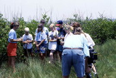 View of children taking part in a summer program planting mangroves - Merritt Island, Florida