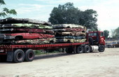 Crushed cars on truck - Mims, Florida