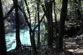 Scenic landscape view of Ichetucknee Spring - Suwannee County, Florida