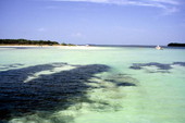 Looking over the water towards the horizon - Woman Key, Florida