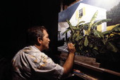 Local Key West artist George Carey working on a painting - Key West, Florida