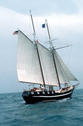 Schooner "Wolf" on the sea - Key West, Florida