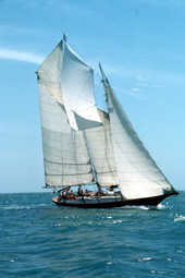 Tall ship "Cleone" on the sea - Key West, Florida
