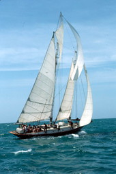 Tall ship "Cleone" on the sea - Key West, Florida