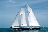Tall ship "Cleone" on the sea - Key West, Florida