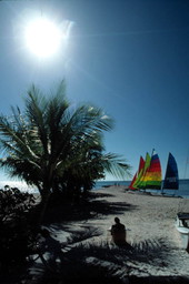 Smathers Beach showing Hobie Cat sailboats - Key West, Florida