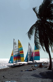 Hobie Cat sailboats on Smathers Beach at the end of South Roosevelt Boulevard - Key West, Florida