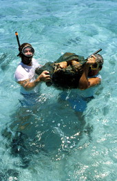 Men harvesting conchs off the Eastern Dry Rocks reef - Key West, Florida.