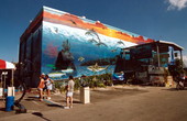 Internationally recognized artist "Wyland" working on his "Whaling Wall" mural.