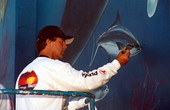 Internationally recognized artist "Wyland" working on his "Whaling Wall" mural.