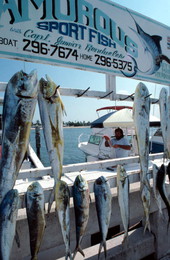 Fish rack at charter boat row, Garrison Bight City Marina - Key West, Florida.