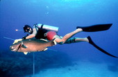 Capt. John Ormsby with black grouper he spear fished off Key West..