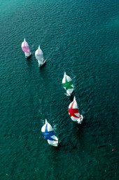 Aerial view of "Sunfish" sailboats - Key West, Florida.