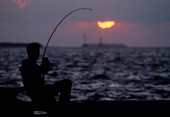 Hooked Up! - Key West, Florida.