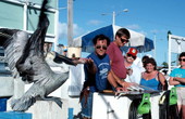 A "Conch Eagle" awaits hand out from Capt. John Battilo (red shirt) and his mate Jeff.