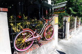 Bicycle, colorfully decorated by "Captain Outrageous", near entrance gate - Key West, Florida