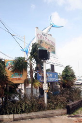 Damage to marlin mount at the Garrison Bight City Marina..